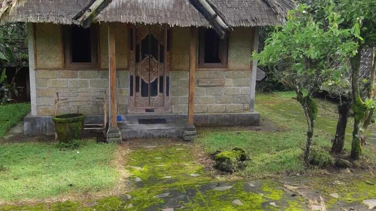 Photo of Outdoor in Kintamani