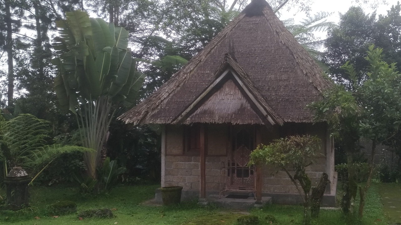 Photo of Outdoor in Kintamani