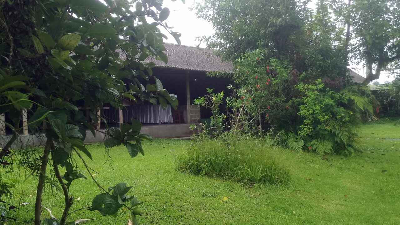 Photo of Outdoor in Kintamani