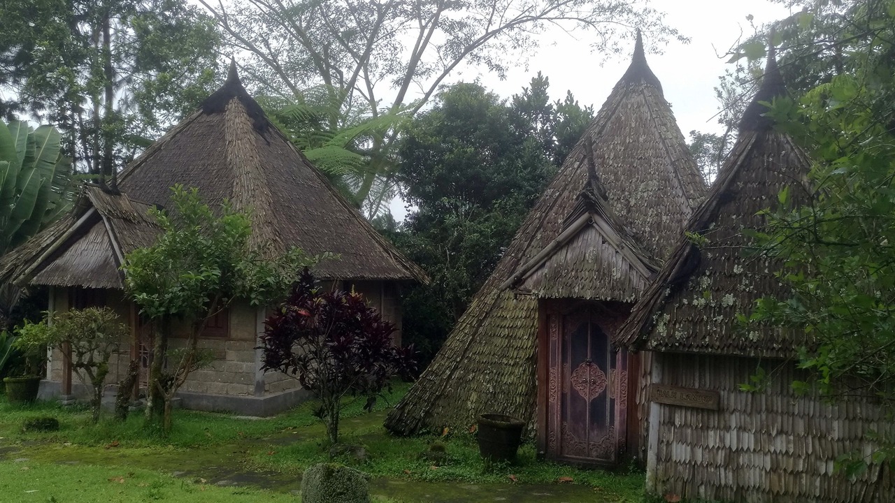 Photo of Outdoor in Kintamani