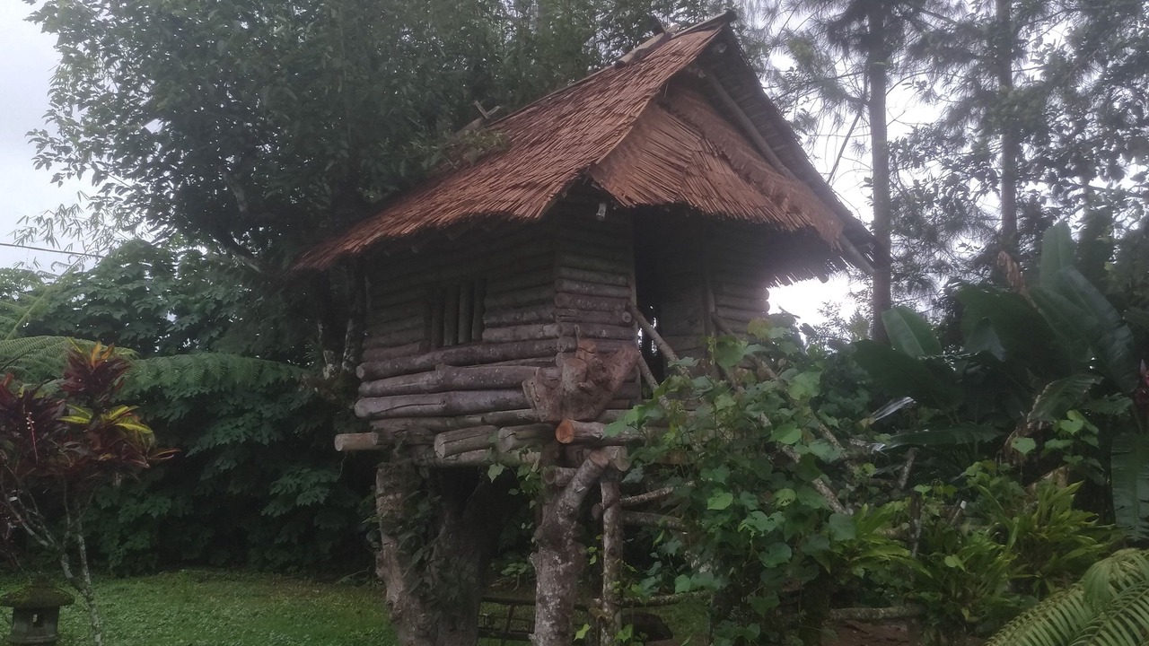 Photo of Outdoor in Kintamani