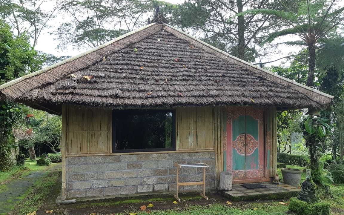 Photo of Outdoor in Kintamani