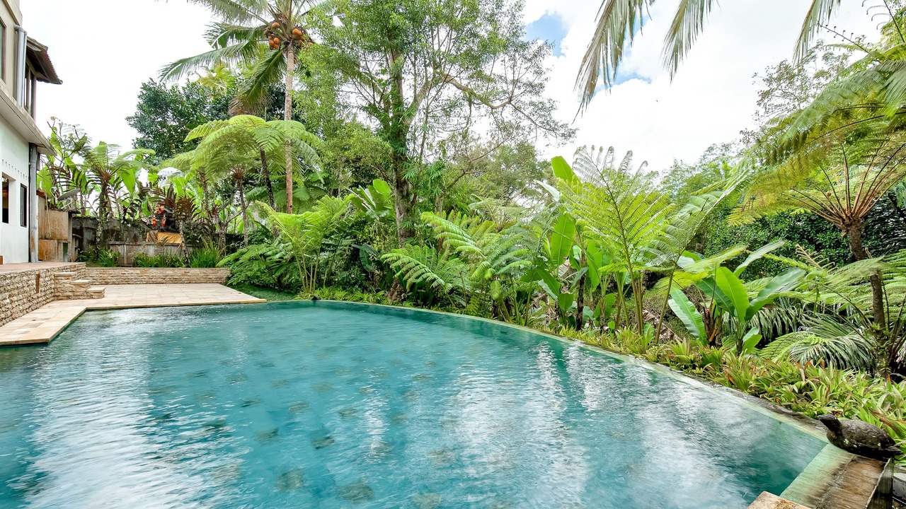 Photo of Outdoor in Payangan