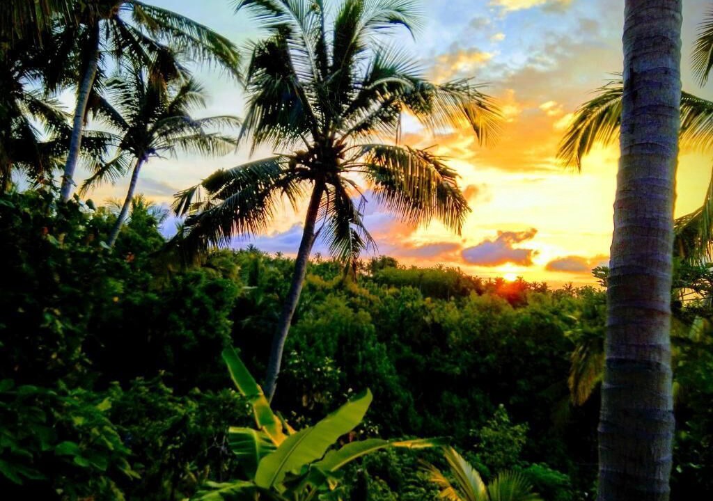 Photo of Outdoor in Penida Island