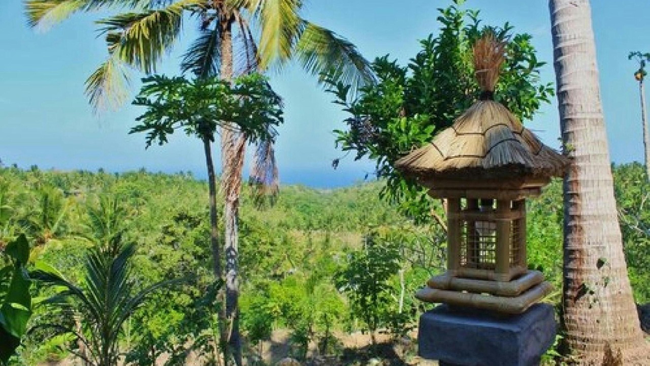 Photo of Outdoor in Penida Island