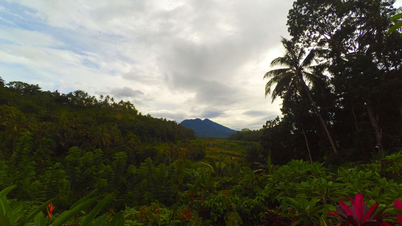 Photo of Outdoor in Ababi