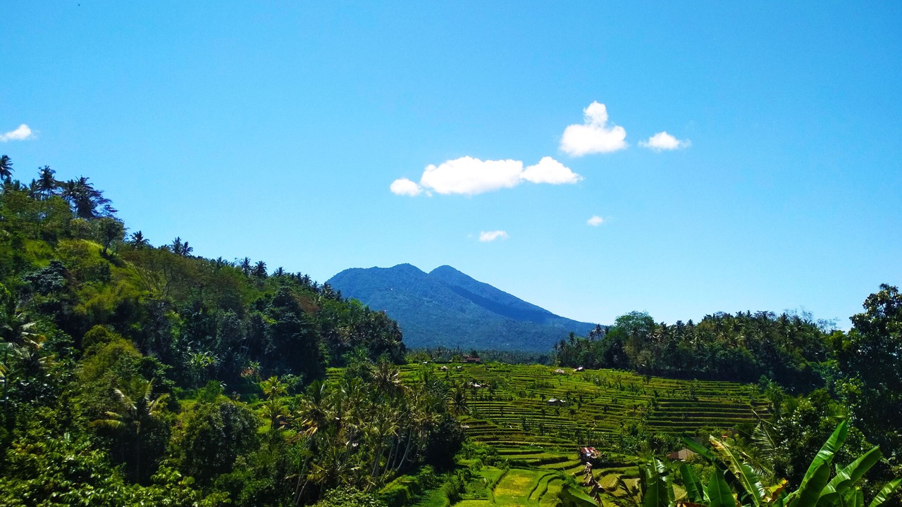 Photo of Outdoor in Ababi