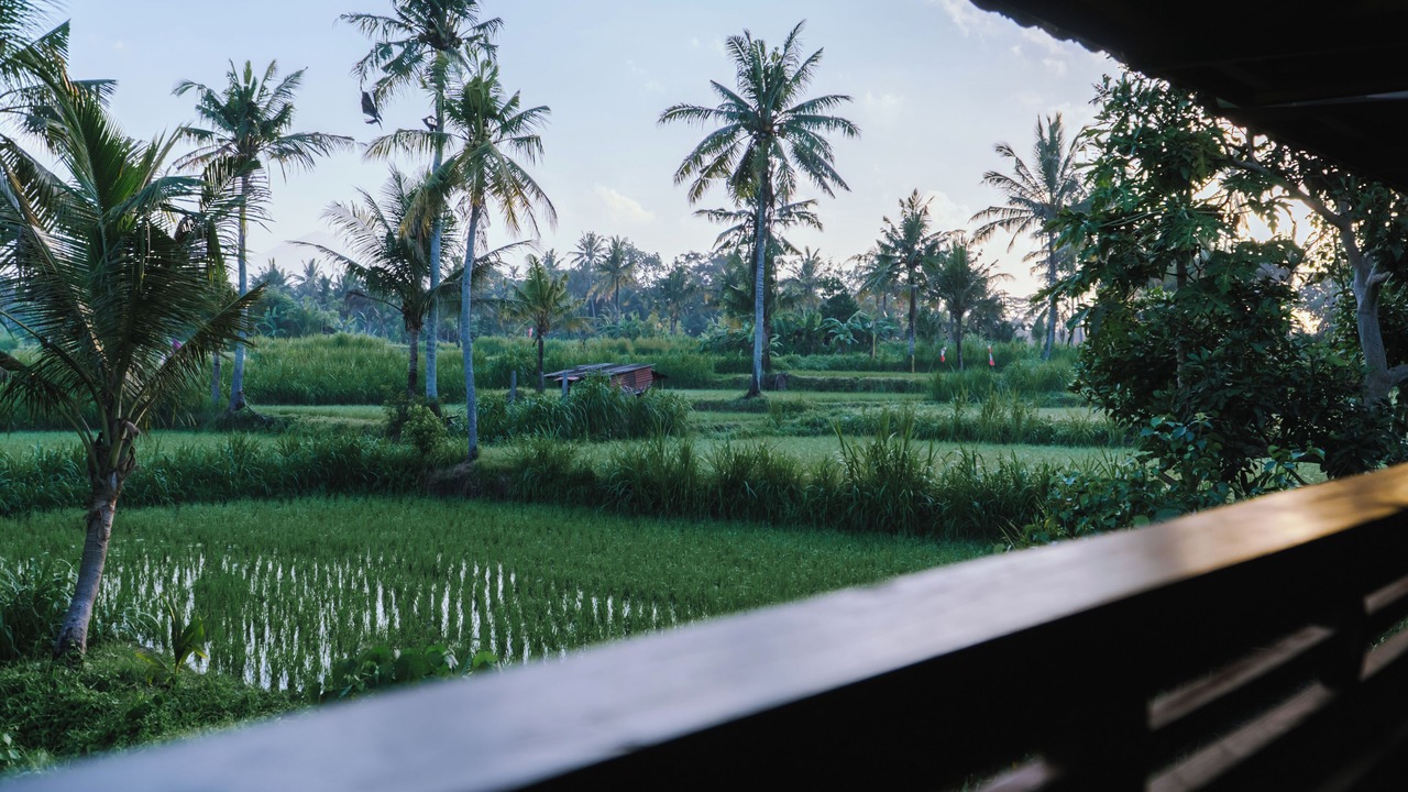 Photo of Patio Balcony in Blahbatuh