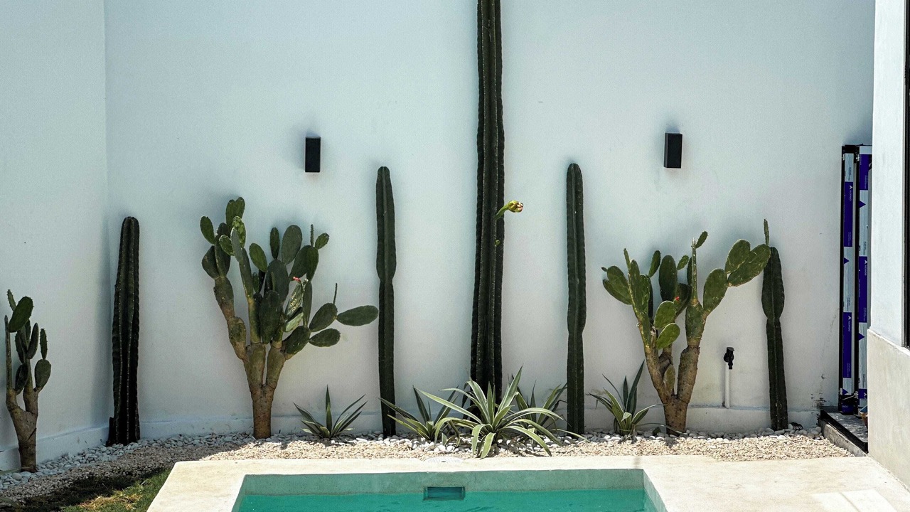 Photo of Outdoor in Pecatu