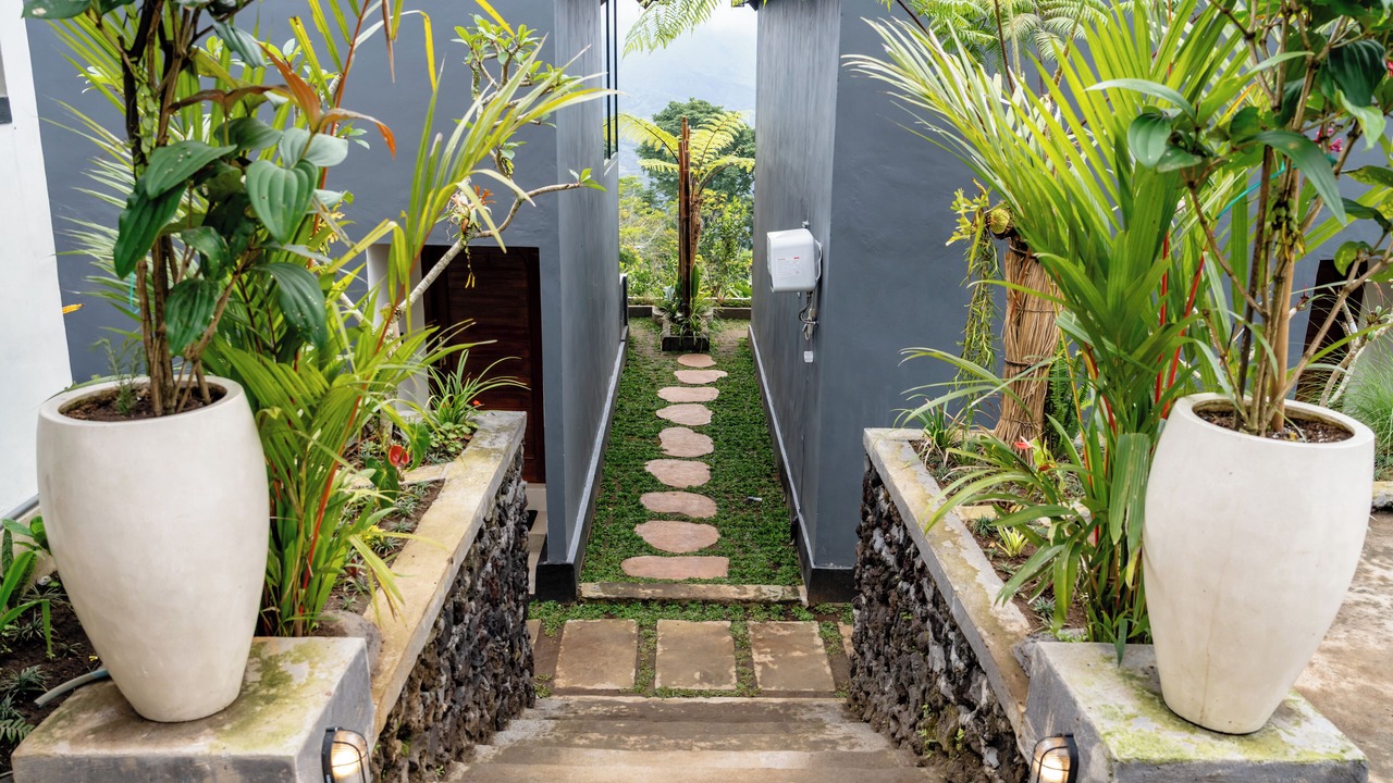 Photo of Outdoor in Kintamani