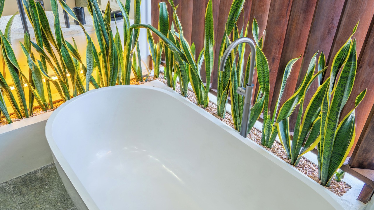 Photo of Bathroom in Ungasan