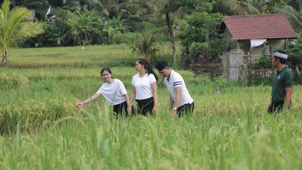Photo of Outdoor in Bebandem