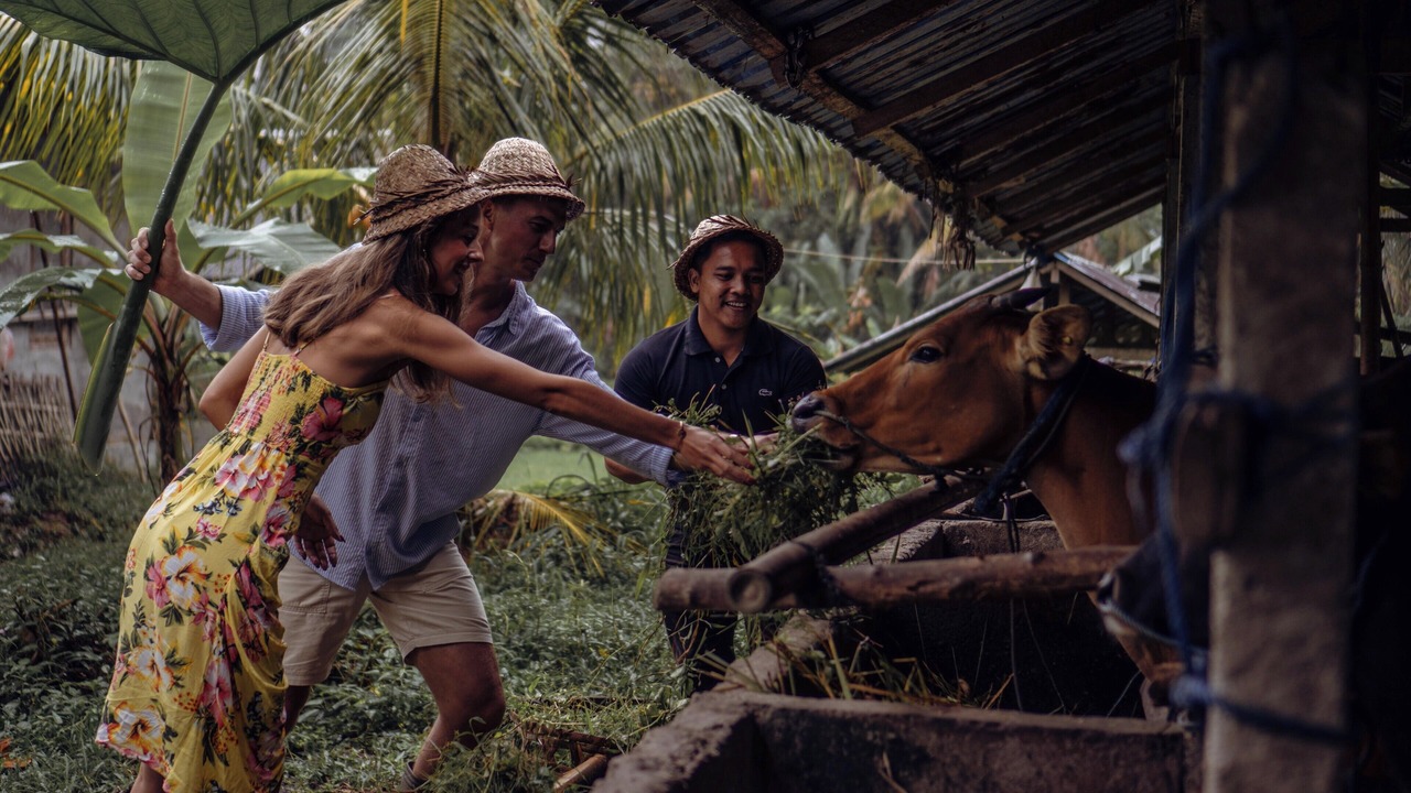 Photo of Others in Payangan