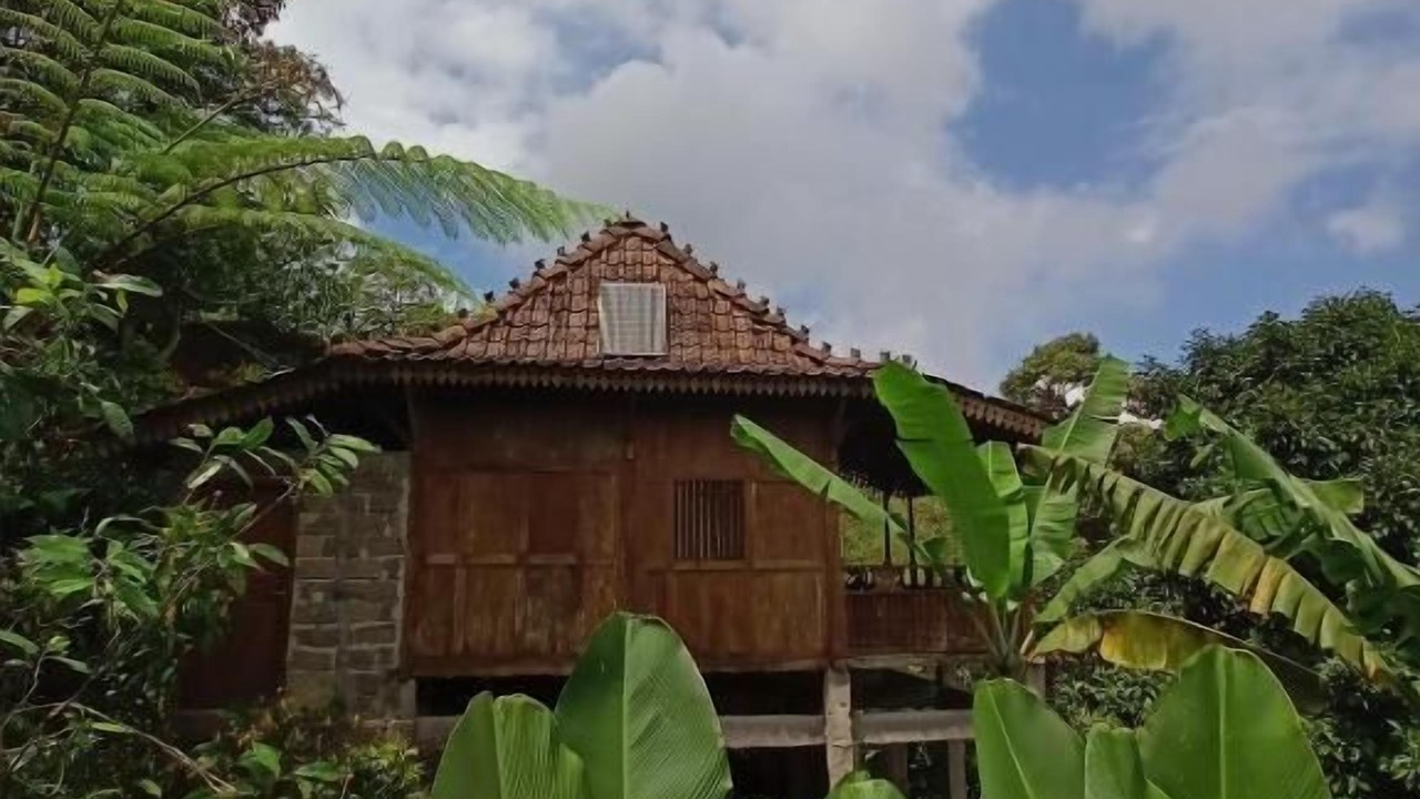 Photo of Outdoor in Pupuan
