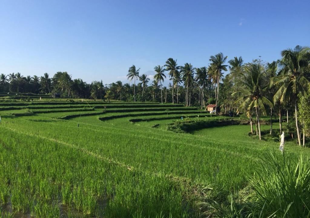 Photo of Others in Banjarangkan