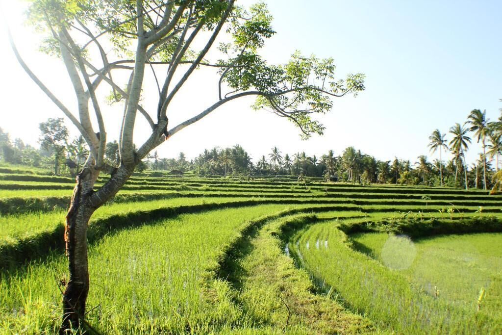 Photo of Others in Banjarangkan