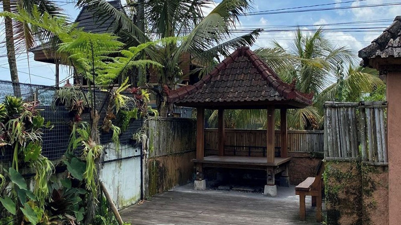 Photo of Outdoor in Tegallalang