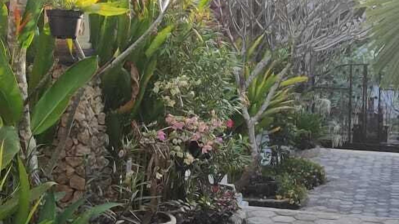 Photo of Outdoor in Sampalan