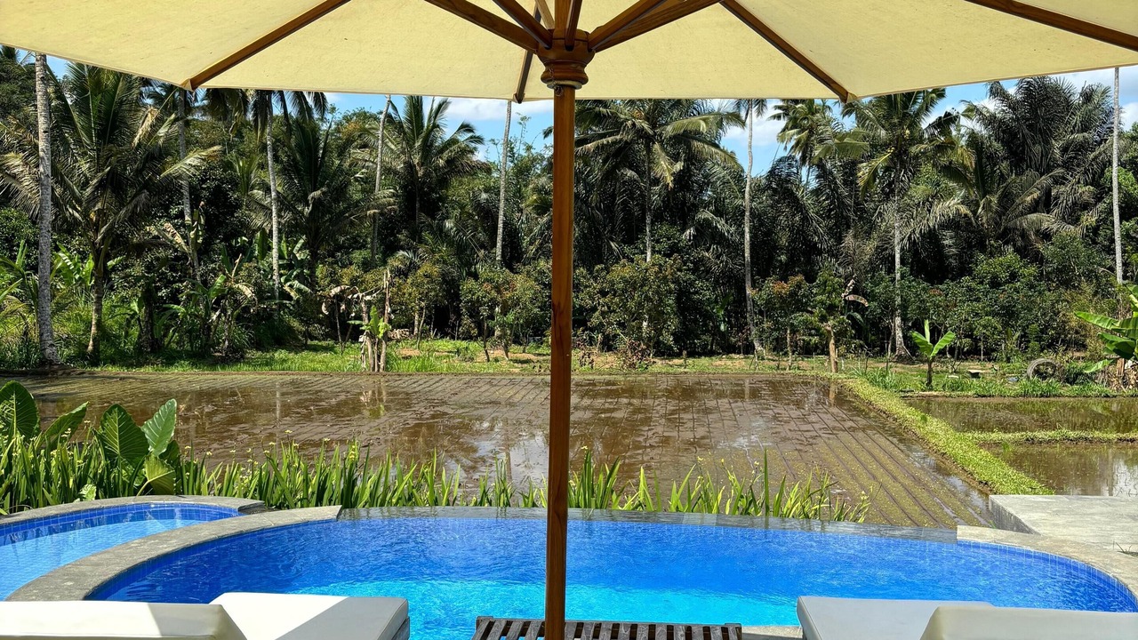 Photo of Outdoor in Taro