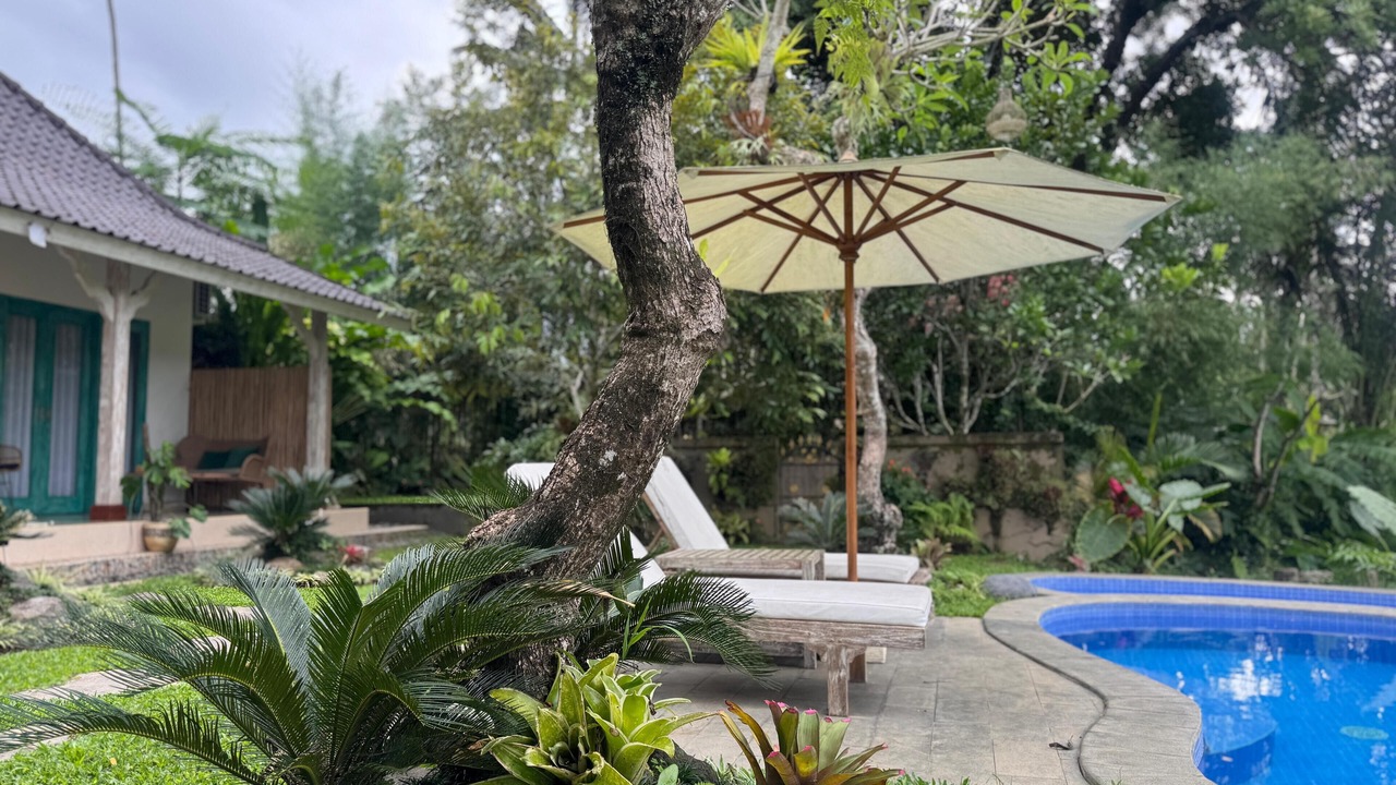 Photo of Outdoor in Taro