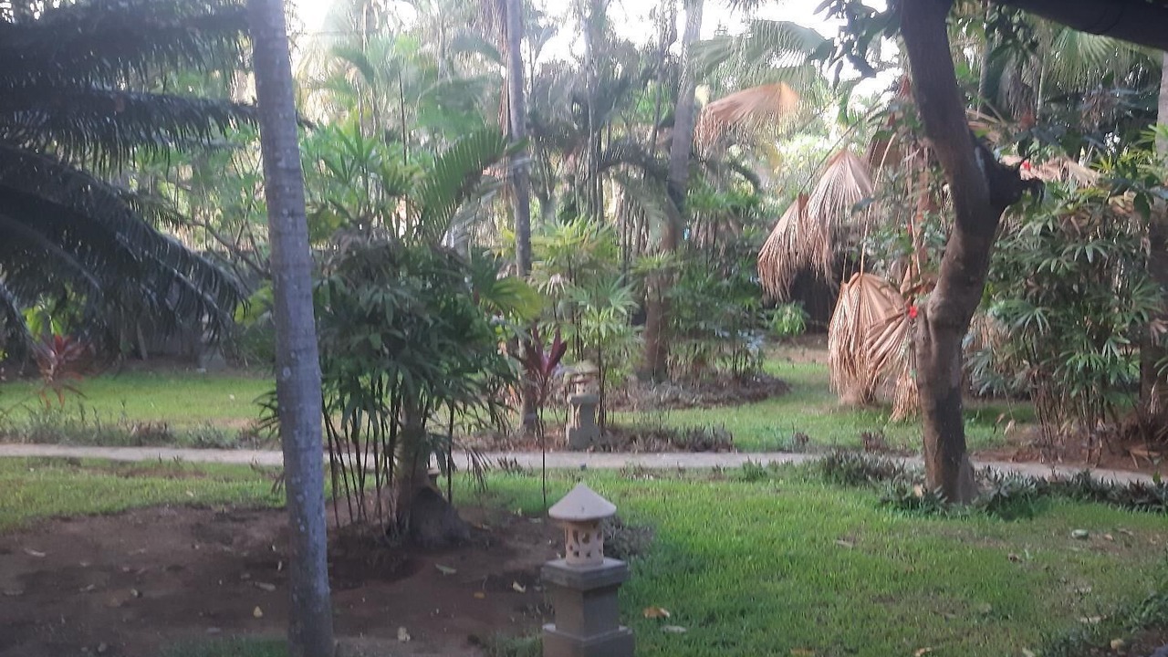 Photo of Outdoor in Tejakula