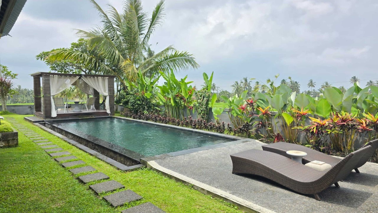 Photo of Outdoor in Taro
