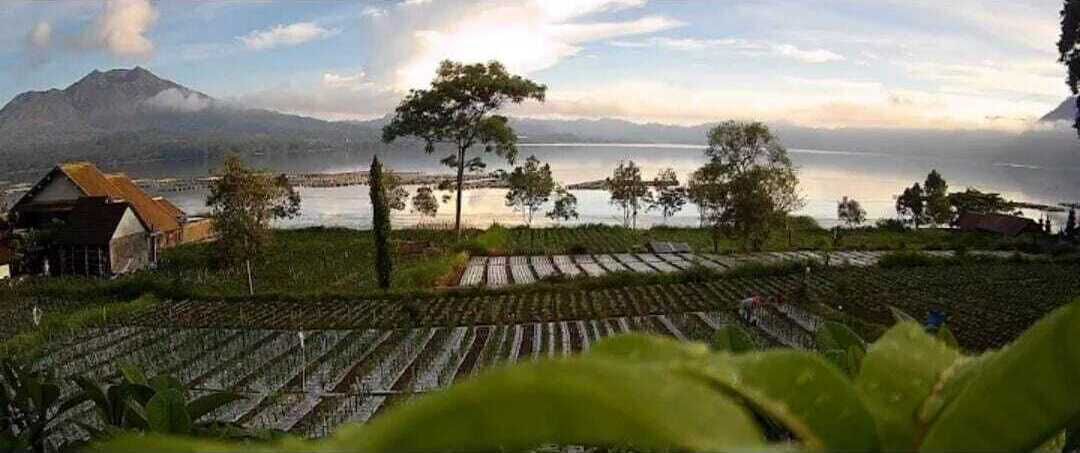 Photo of Outdoor in Kintamani