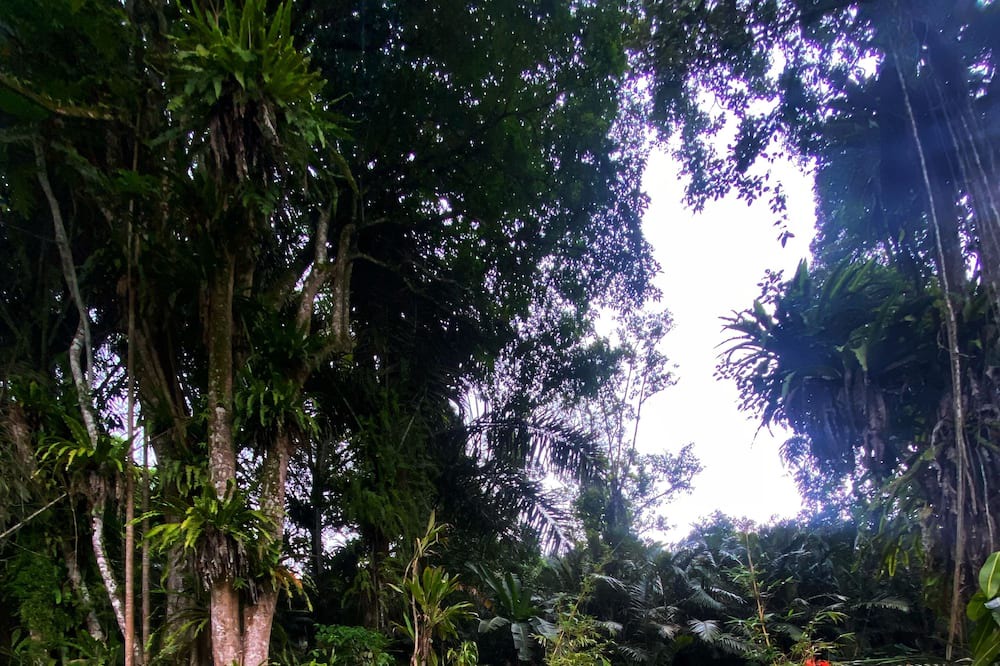 Photo of Outdoor in Sidemen
