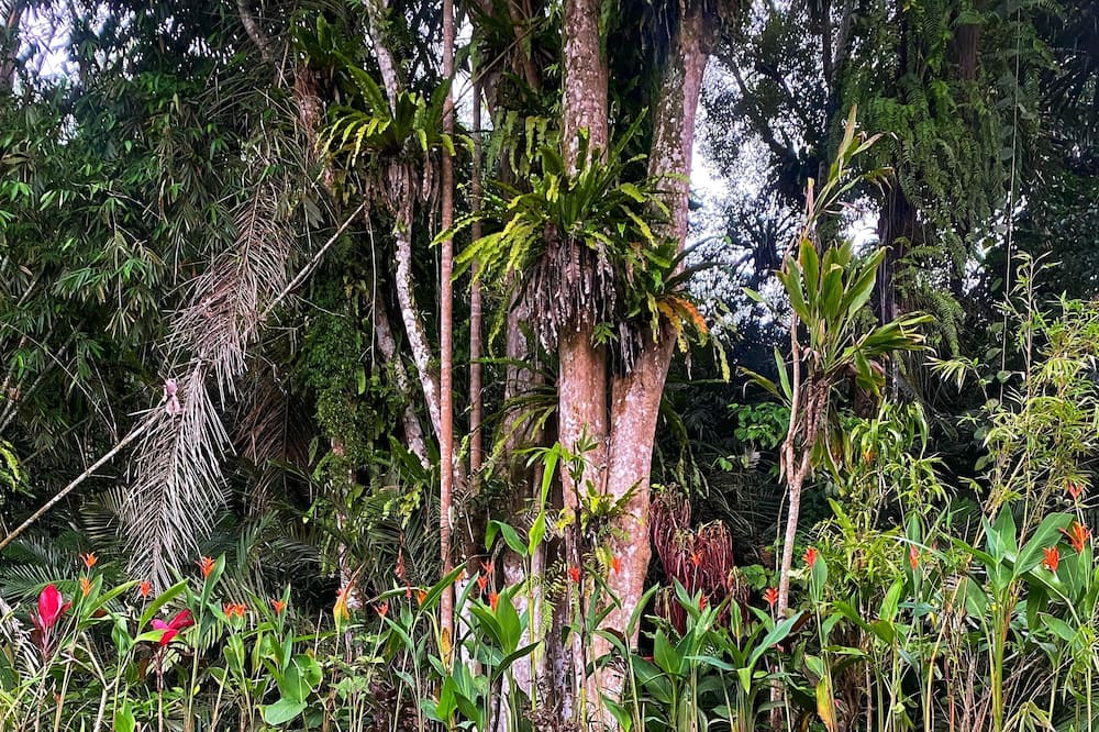 Photo of Outdoor in Sidemen