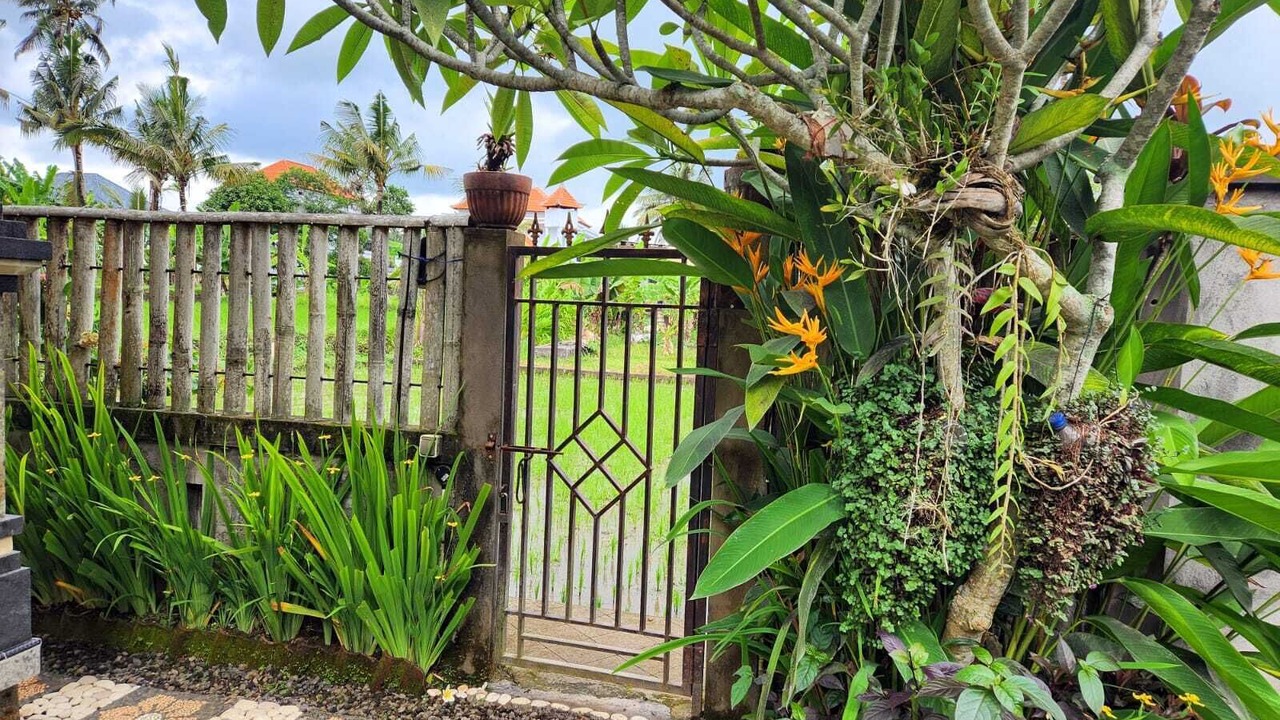 Photo of Outdoor in Pejeng Kawan