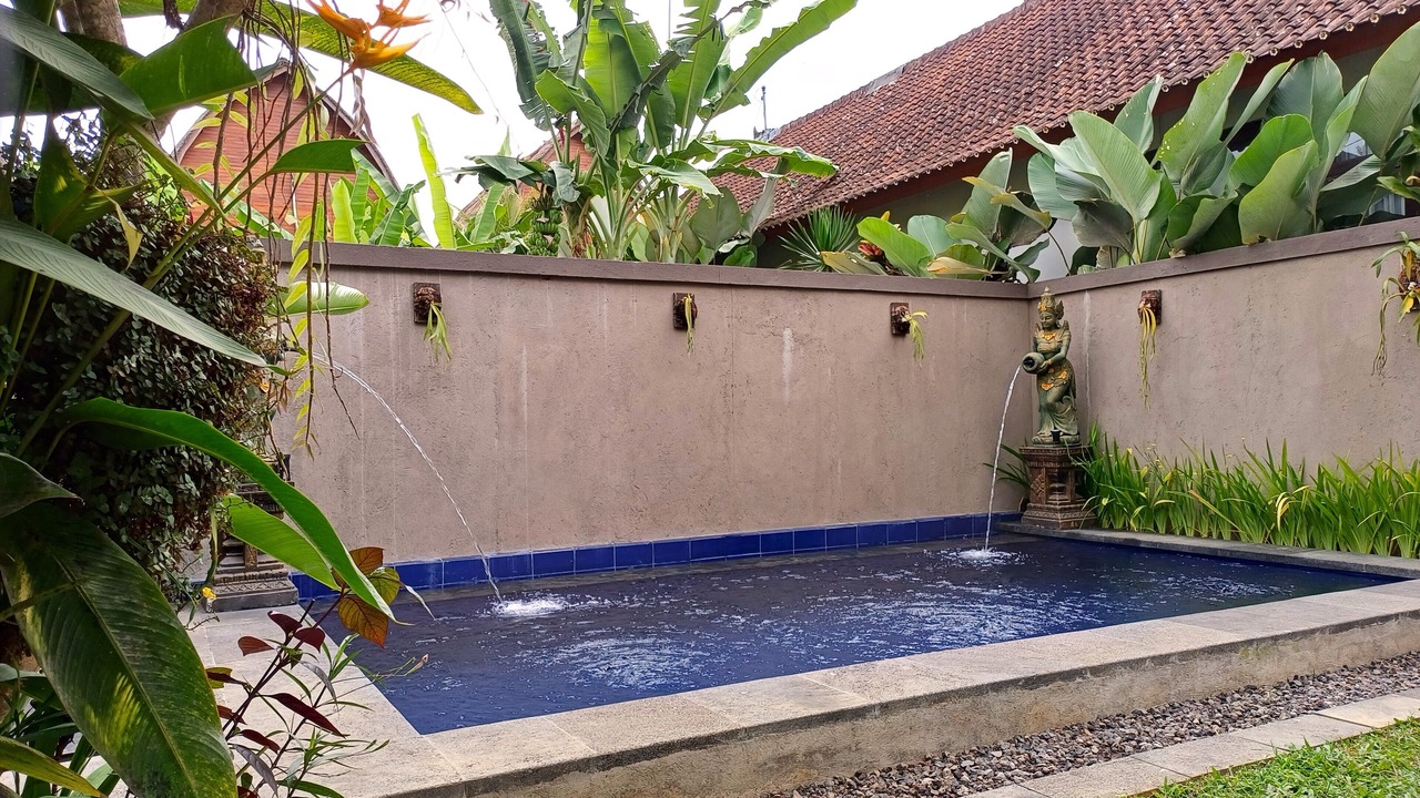Photo of Outdoor in Pejeng Kawan