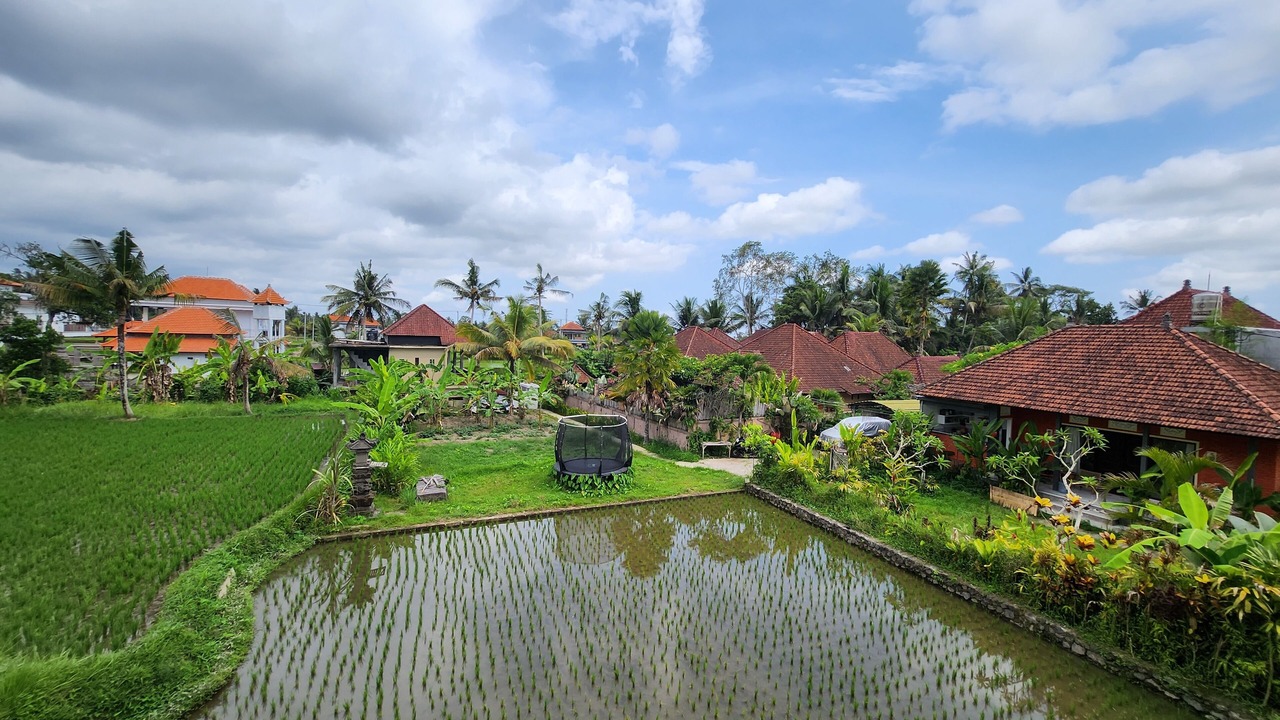 Photo of Outdoor in Pejeng Kawan