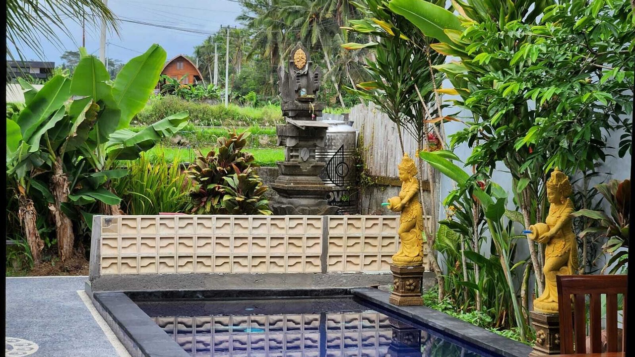 Photo of Outdoor in Pejeng Kawan