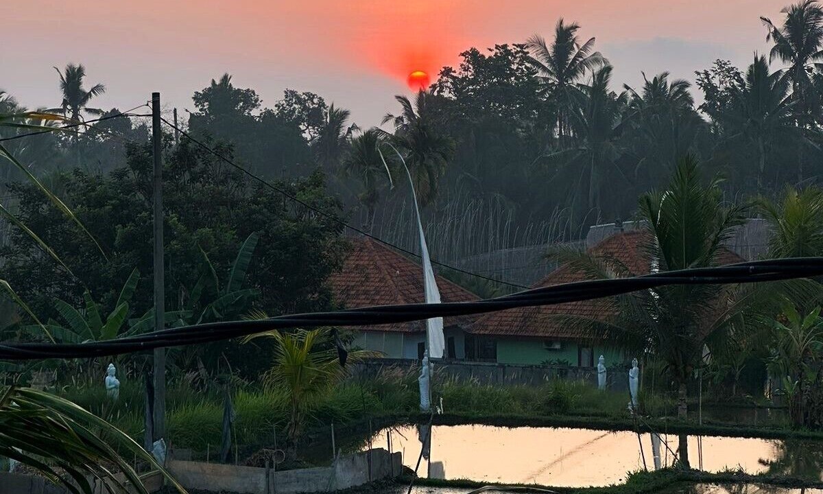 Photo of Outdoor in Pejeng Kawan