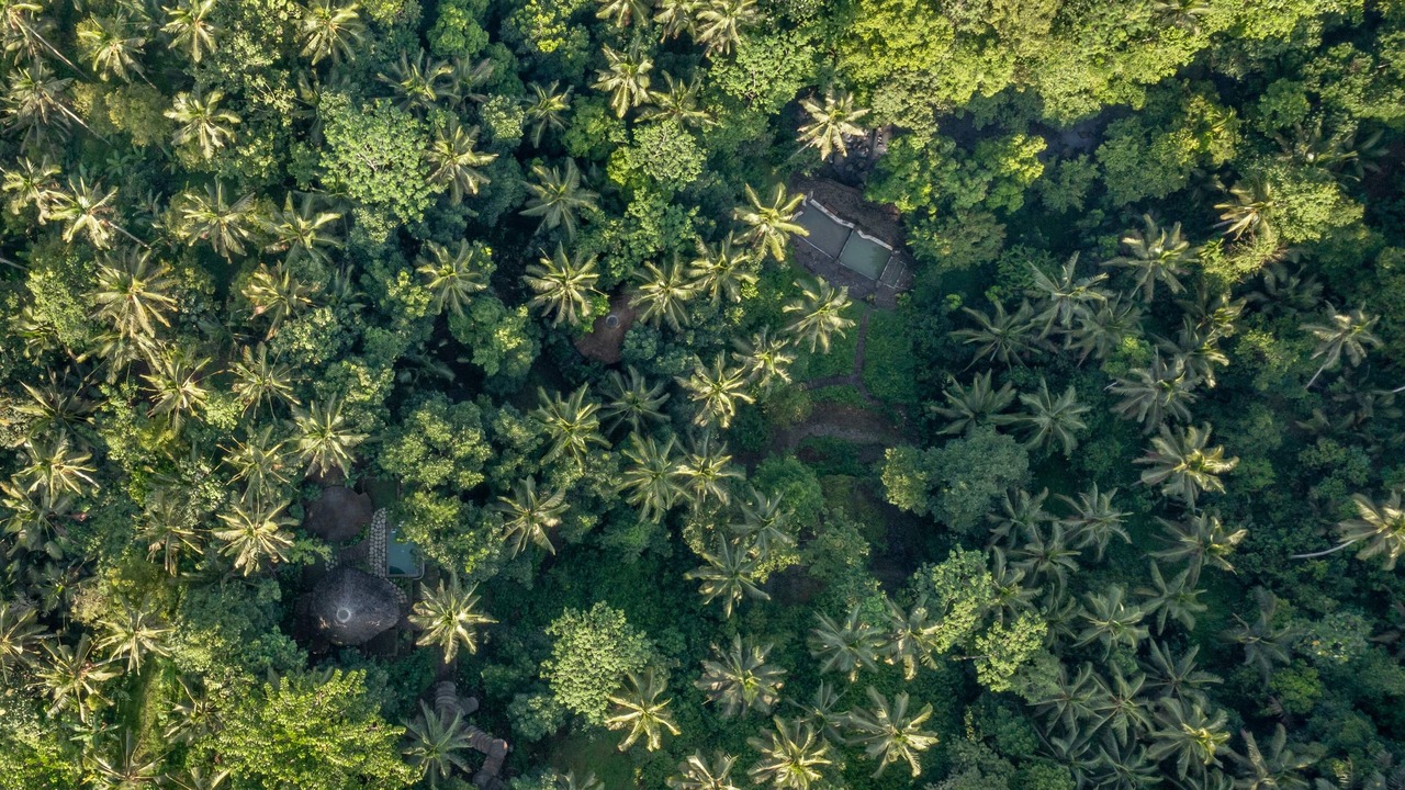 Photo of Outdoor in East Selemadeg