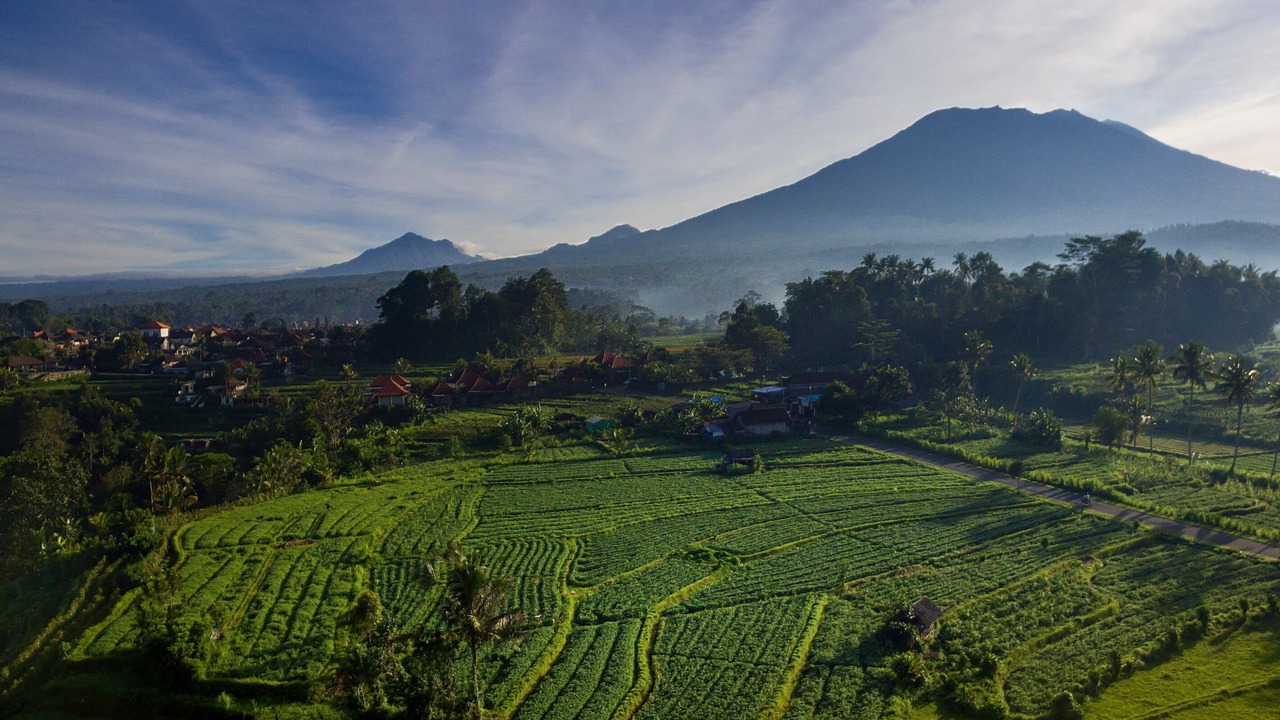 Photo of Outdoor in Rendang