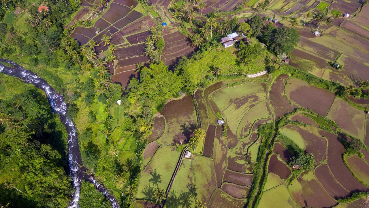 Photo of Outdoor in Rendang