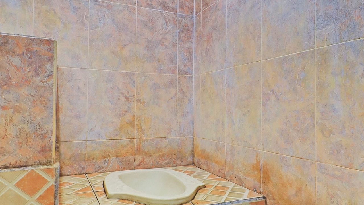 Photo of Bathroom in Negara