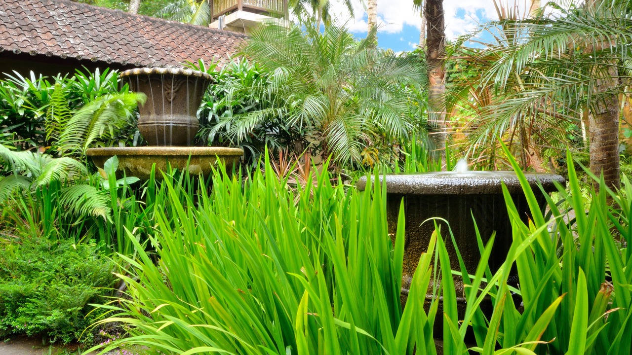 Photo of Outdoor in Melayang