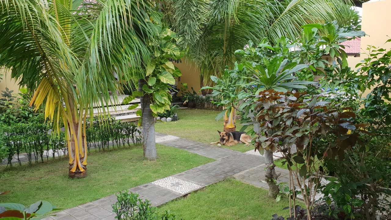 Photo of Outdoor in Bunutan