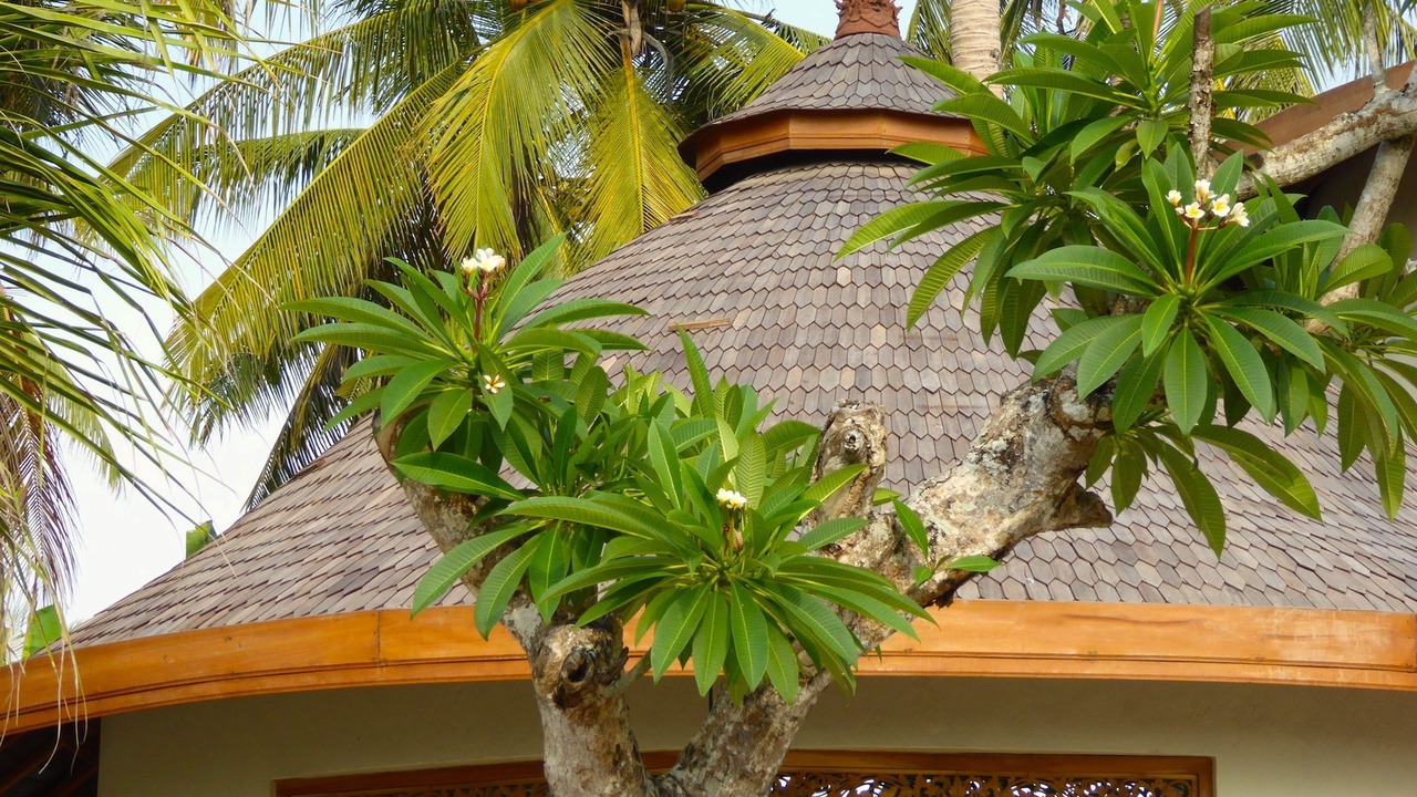 Photo of Bedroom in Pekutatan