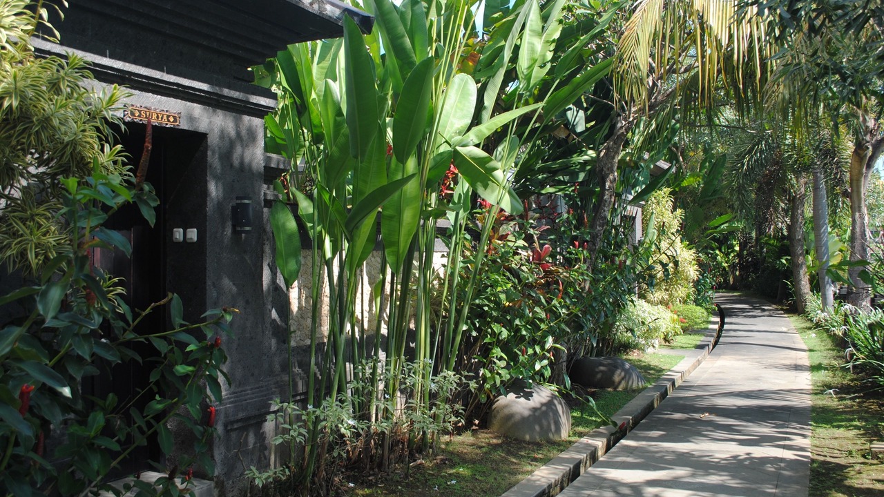 Photo of Outdoor in Gianyar