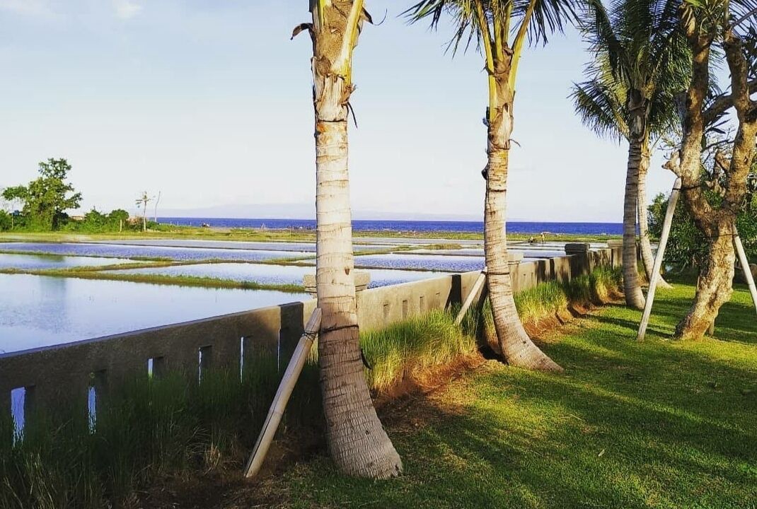 Photo of Outdoor in Gianyar