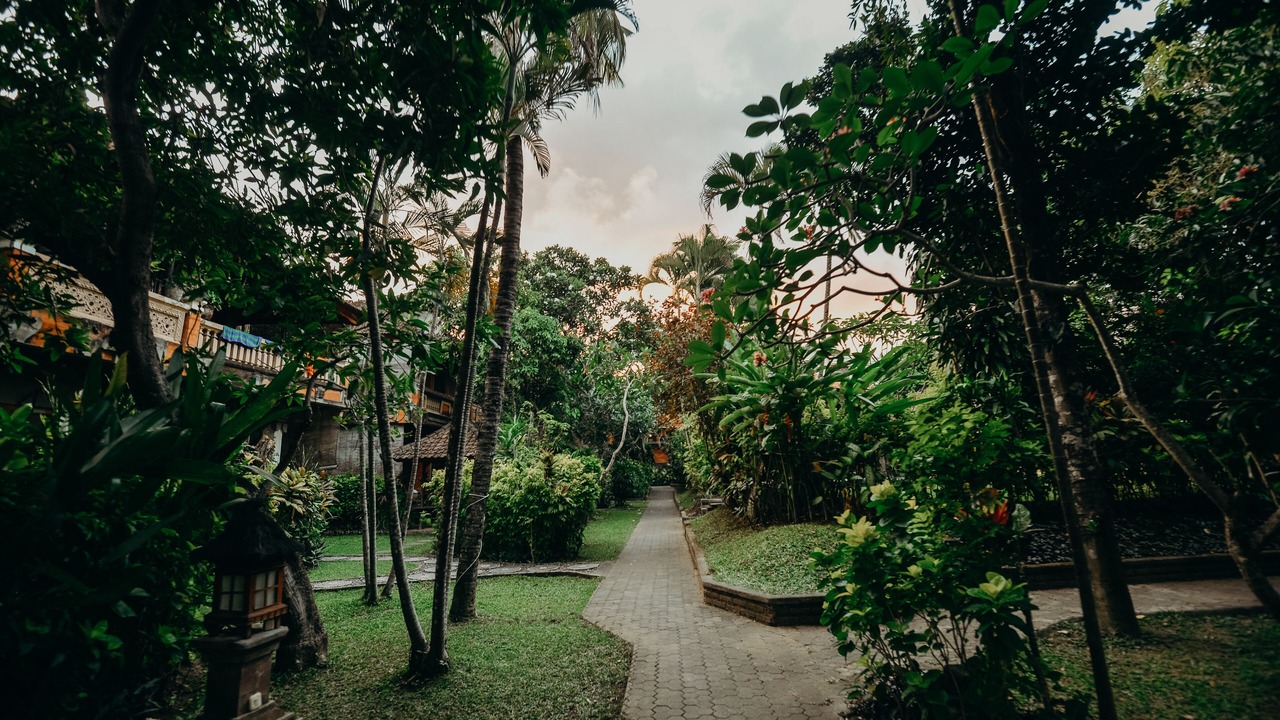 Photo of Outdoor in Legian