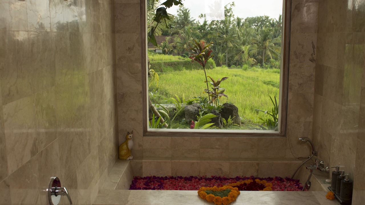 Photo of Outdoor in Ubud