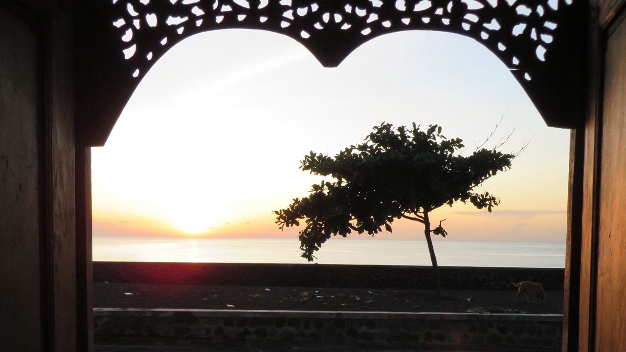 Photo of Outdoor in Jasri
