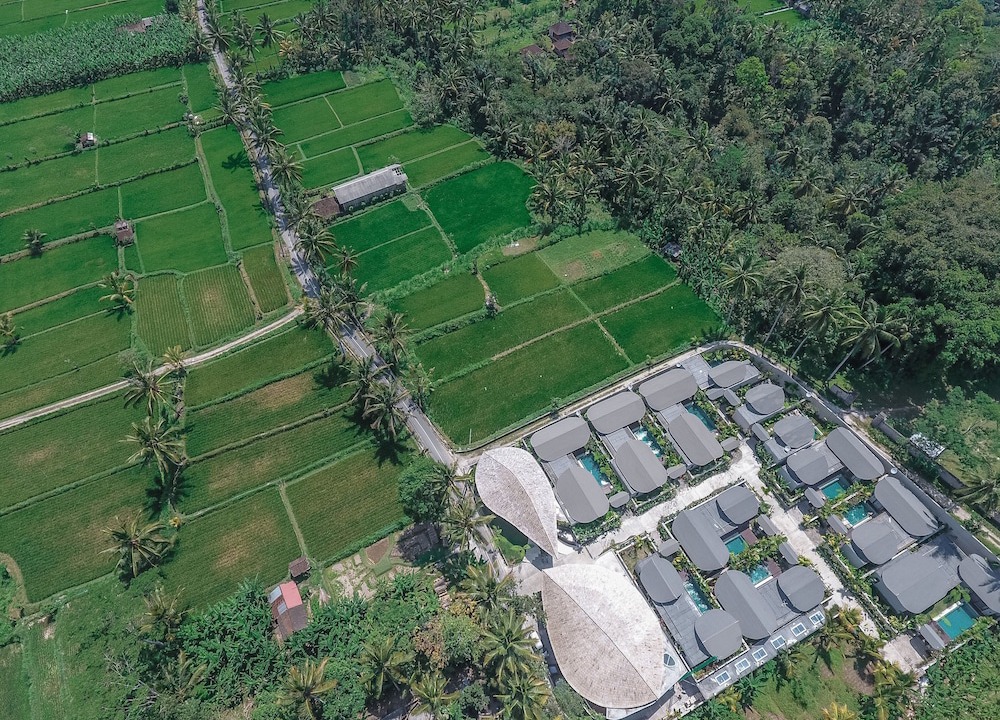 Photo of Outdoor in Payangan