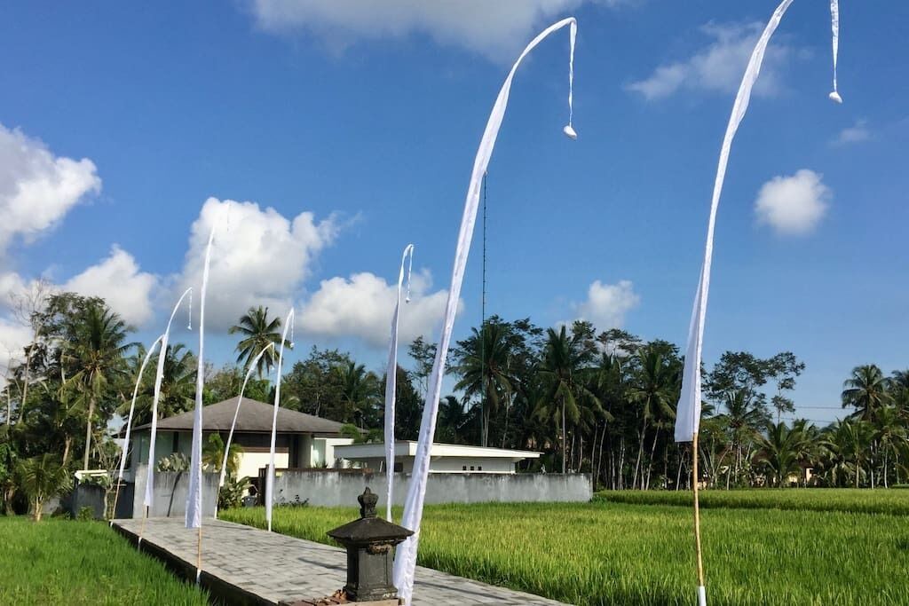 Photo of Outdoor in Pejeng Kawan