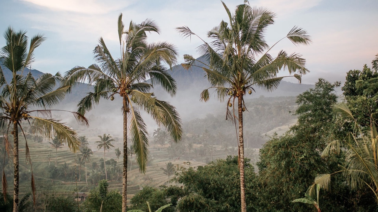 Photo of Outdoor in Manggis