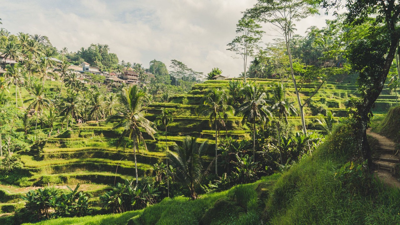 Photo of Outdoor in Manggis